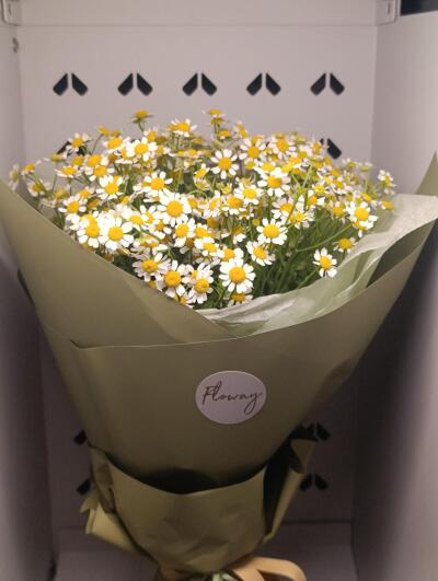 Bouquet from Lielezeres