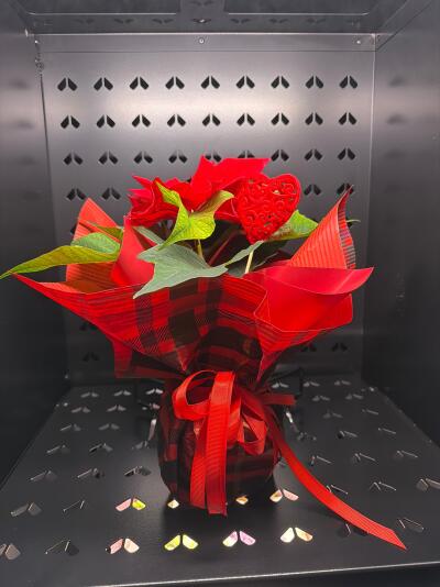 Bukiet z SISIFlowers BB Hałcnów