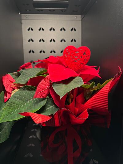 Bukiet z SISIFlowers BB Gorkiego