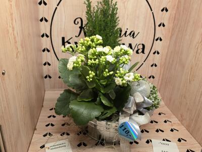 Bukiet z Batorego 81a (wjazd na bri...