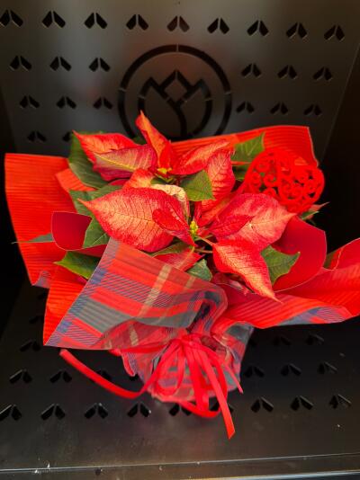 Bukiet z SISIFlowers BB Gorkiego