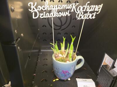 Bukiet z Kożuchowska 8 (przy wieź...