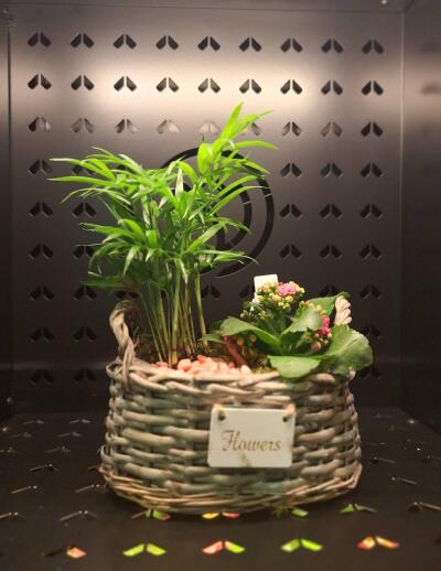 Bukiet z Kwiatomat Tuberoza