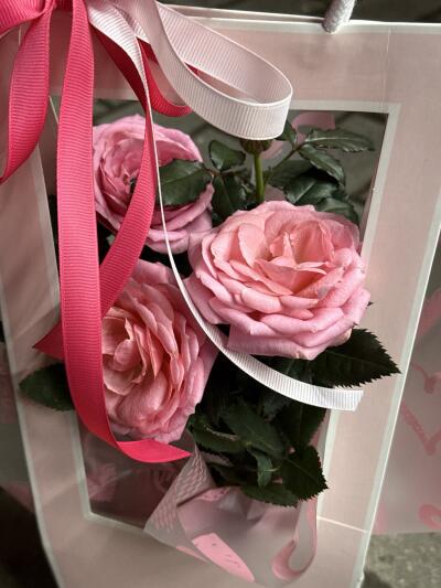 Bouquet from SISIFlowers BB Hałcn�...