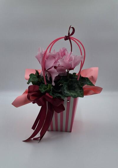 Bukiet z Kwiatomat Tuberoza