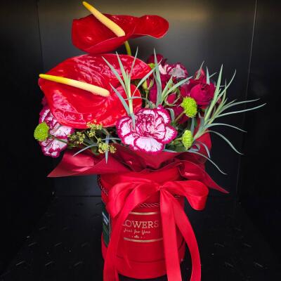 Czerwony Flower Box