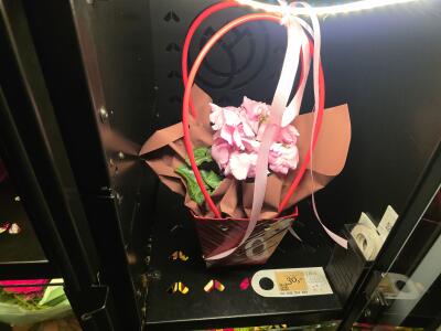 Bukiet z Kożuchowska 8 (przy wieź...