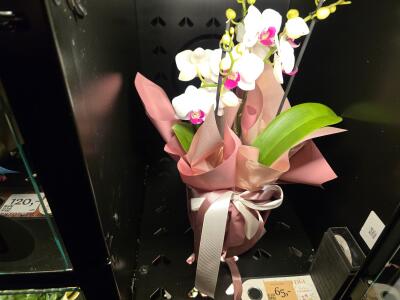 Bukiet z al. Konstytucjo 3 maja 20 ...