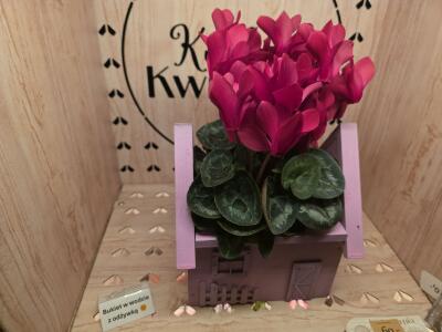 Bukiet z Batorego 81a (wjazd na bri...