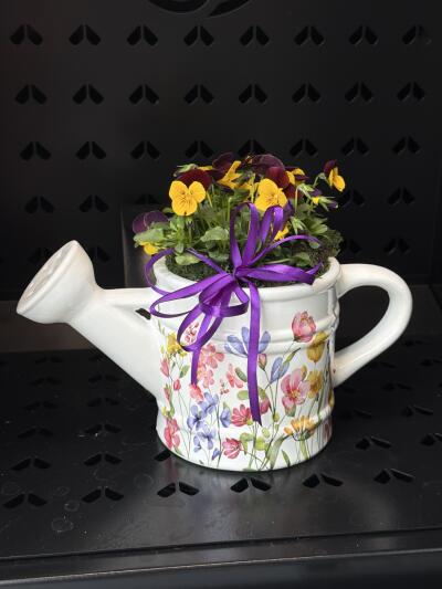 Bratkowa konewka z Dom Kwiatów i S...