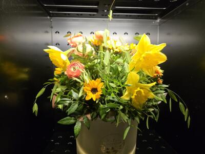 Bukiet z osiedle Kaszubskie 3