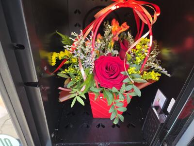 Bukiet z osiedle Kaszubskie 3