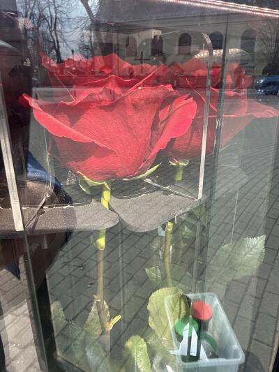 Bouquet from SISIFlowers BB Hałcn�...