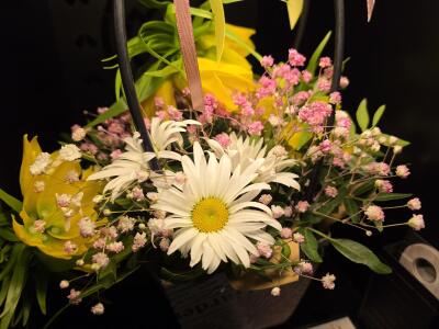 Bukiet z osiedle Kaszubskie 3