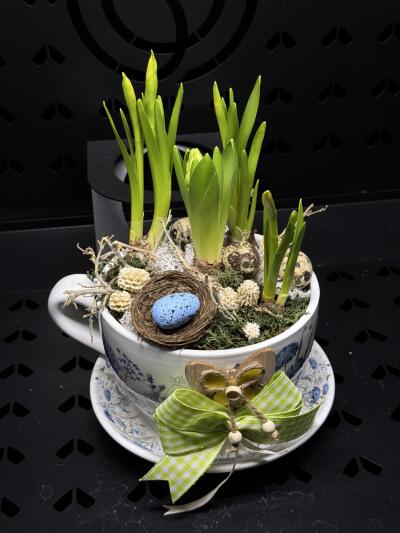 Kompozycja z Dom Kwiatów i Sztuki