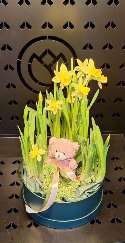 Bukiet z Kwiatomat Tuberoza