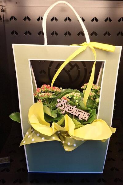 Bukiet z Kwiatomat Tuberoza