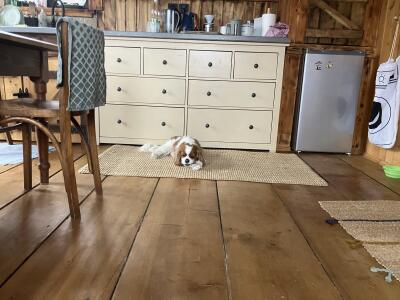 Bukiet z A Eldrut pokazowy 😱 2