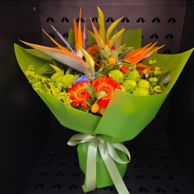 Tropikalna Energia – buk