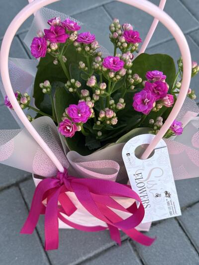 Bouquet from SISIFlowers BB Gorkieg...