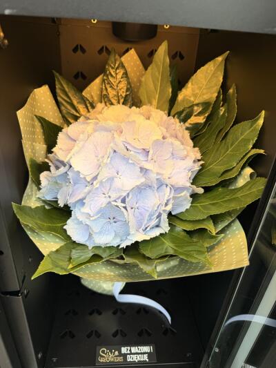 Bouquet from SISIFlowers BB Gorkieg...