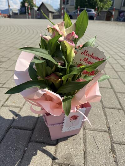 Bouquet from SISIFlowers BB Hałcn�...