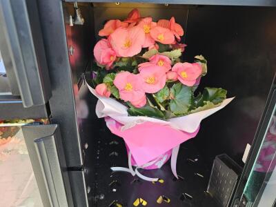 Bukiet z Asia