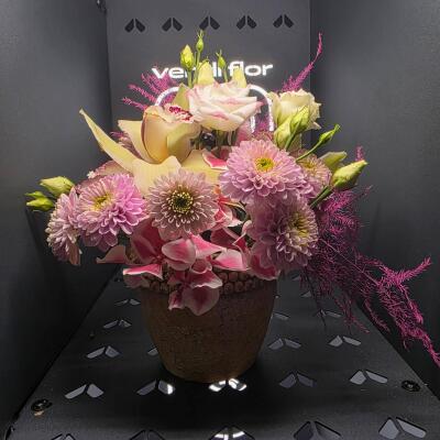 Pudrowa Harmonia – flowerpot