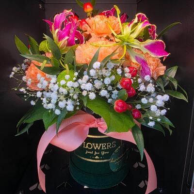 Morelowa Fantazja – Flowerbox