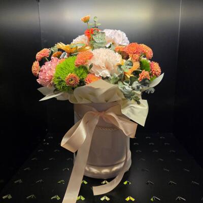 Morelowa Harmonia – Flowerbox