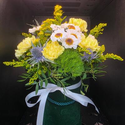 Złocista Harmonia – Flower box
