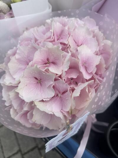 Bouquet from SISIFlowers BB Hałcn�...