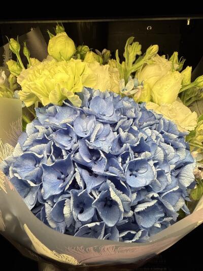 Bouquet from SISIFlowers BB Gorkieg...