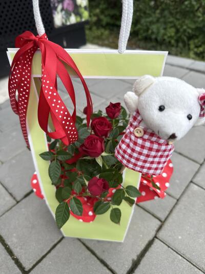 Bouquet from SISIFlowers BB Gorkieg...