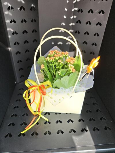 Bukiet z SISIFlowers BB Komorowice