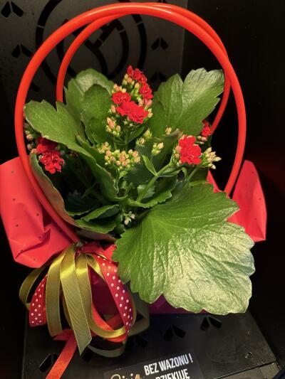 Bouquet from SISIFlowers BB Gorkieg...