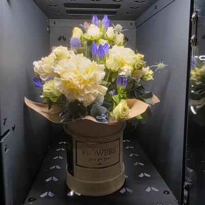 Błękitna Elegancja (Flowerbox)
