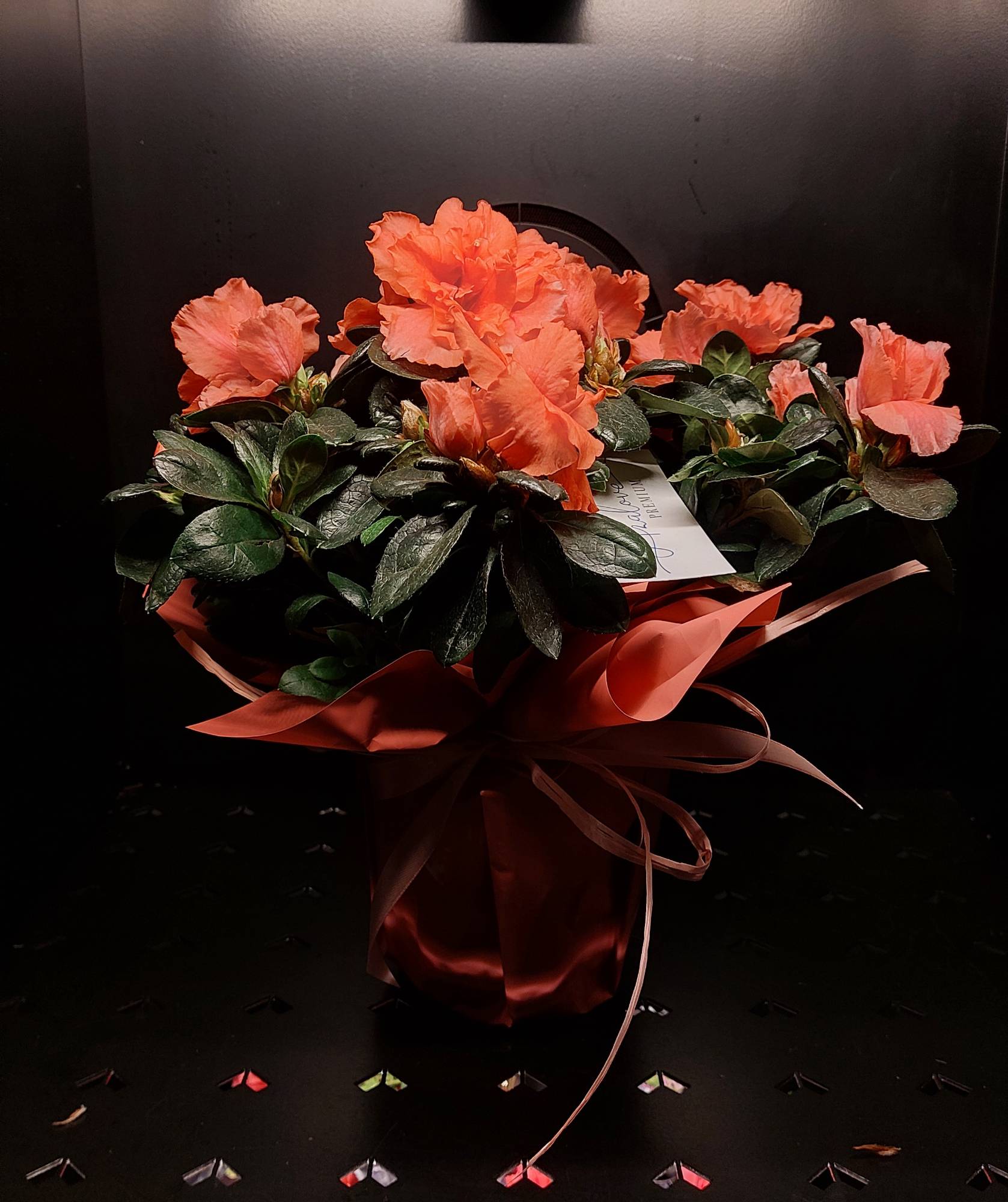 Bukiet z Toruń PODGÓRNA