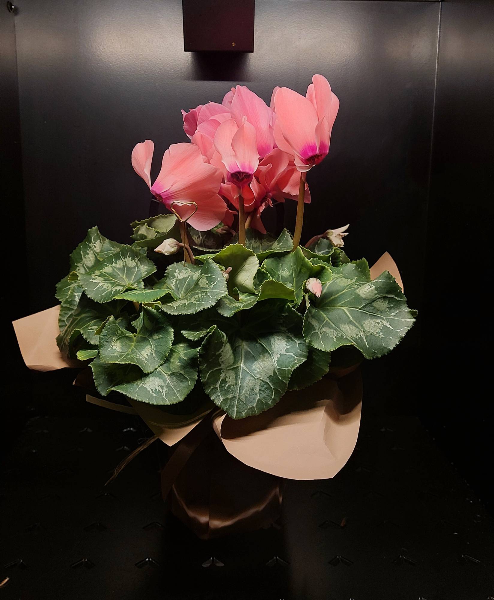 Bukiet z Toruń PODGÓRNA