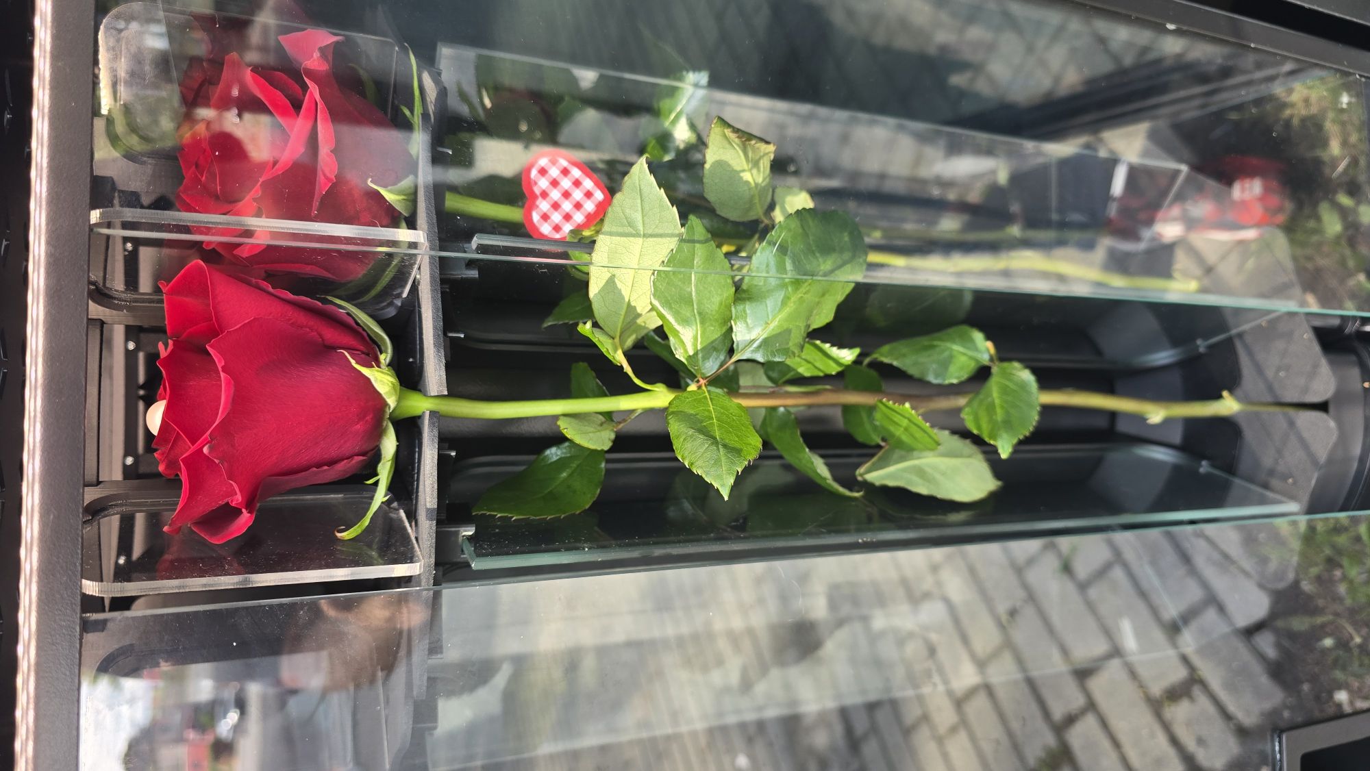 Bouquet from SISIFlowers BB Hałcn�...