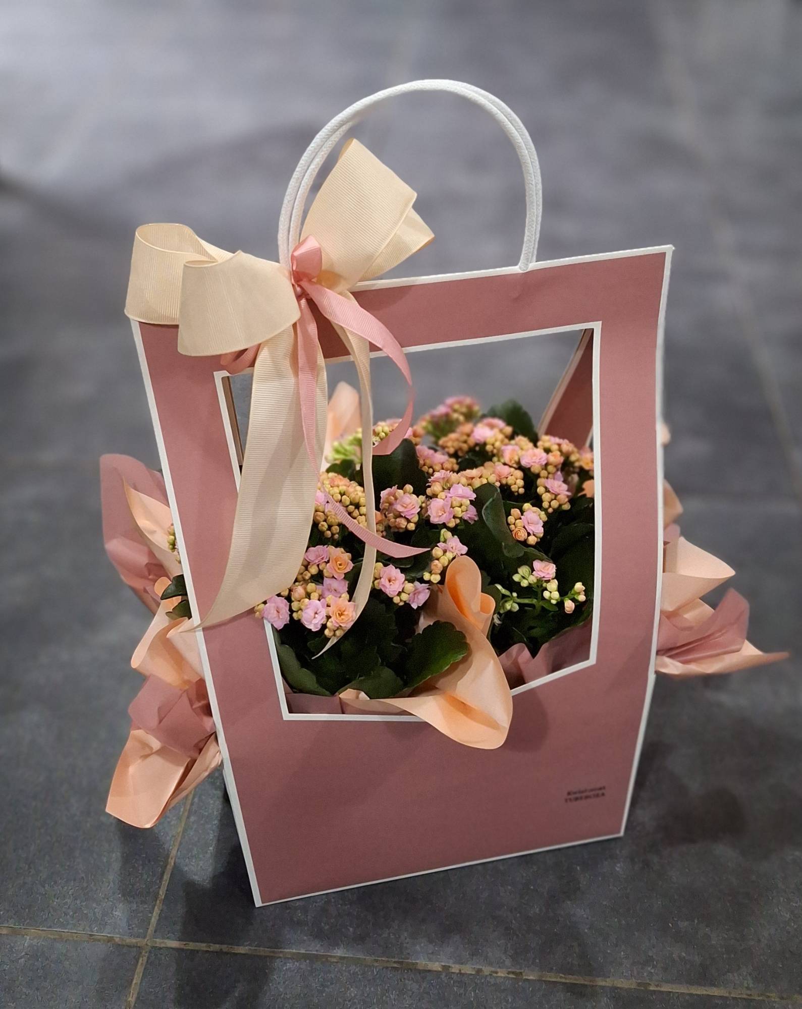 Kwiat doniczkowy z Kwiatomat Tubero...