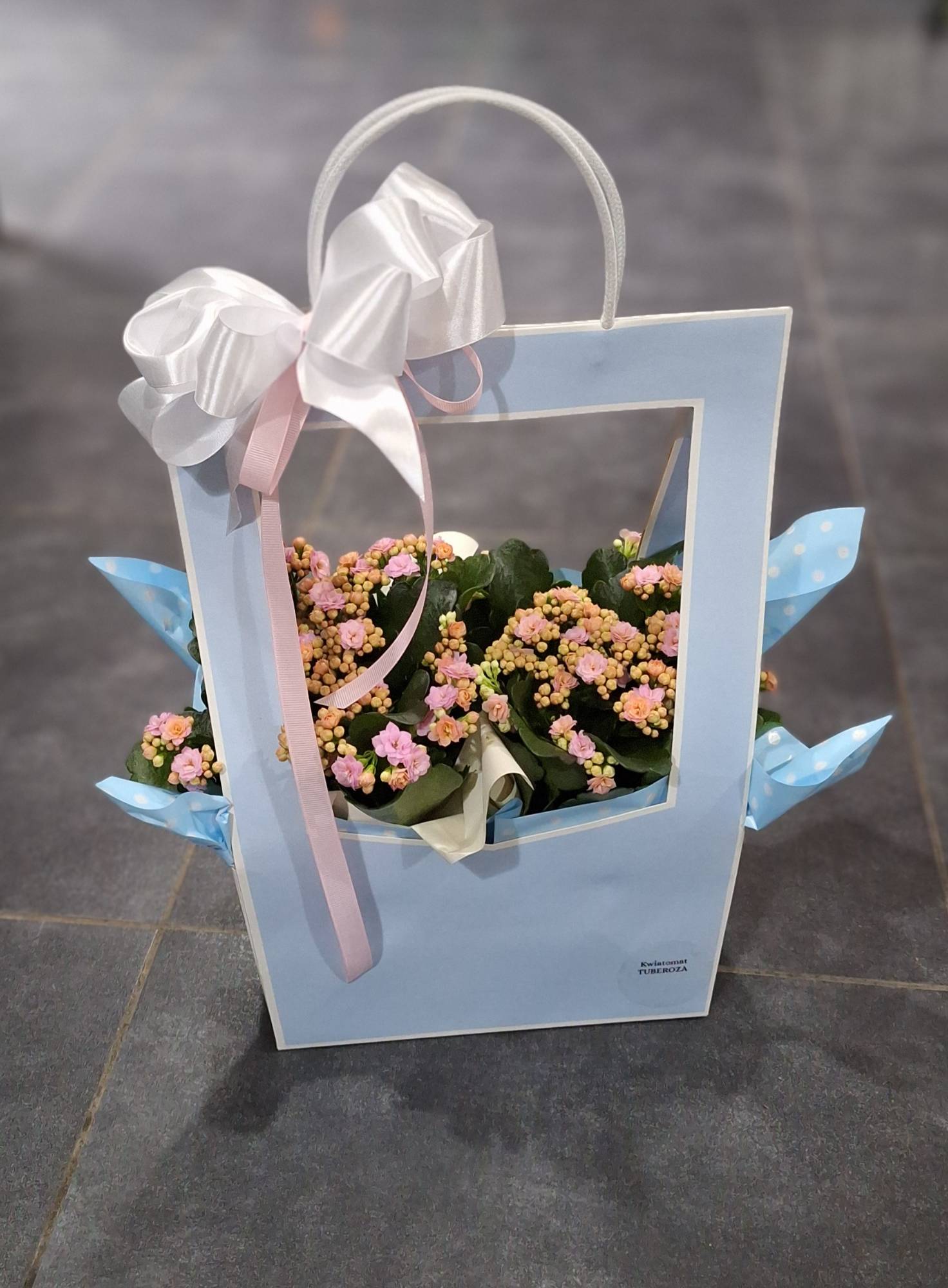 Kwiaty doniczkowe z Kwiatomat Tuber...