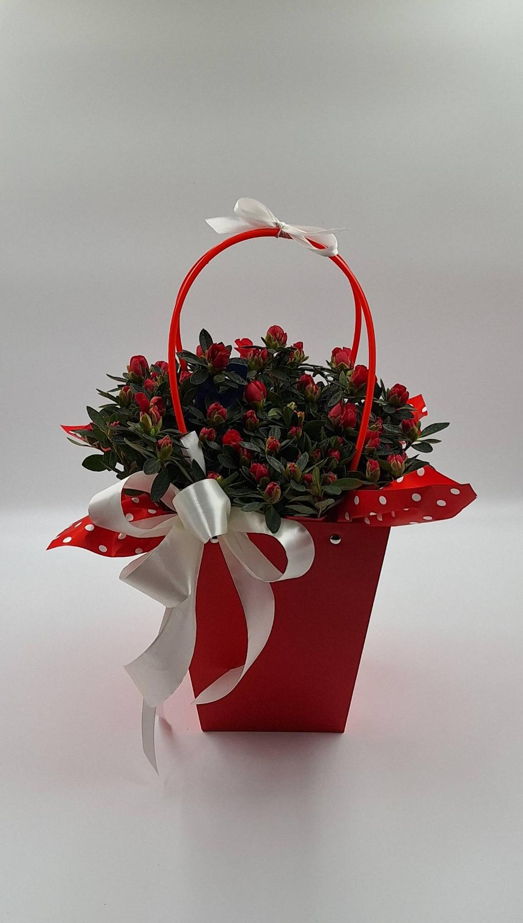 Bukiet z Kwiatomat Tuberoza