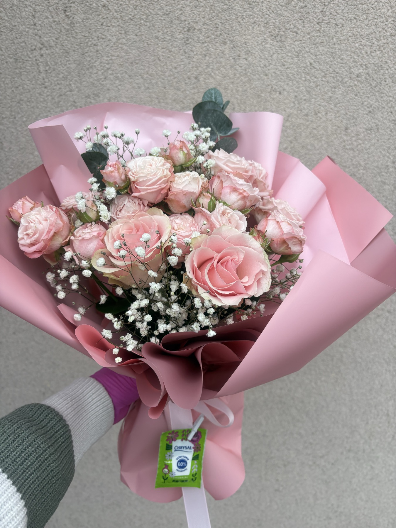 Bukiet z KW-1577-27 - Sylwester Osu...